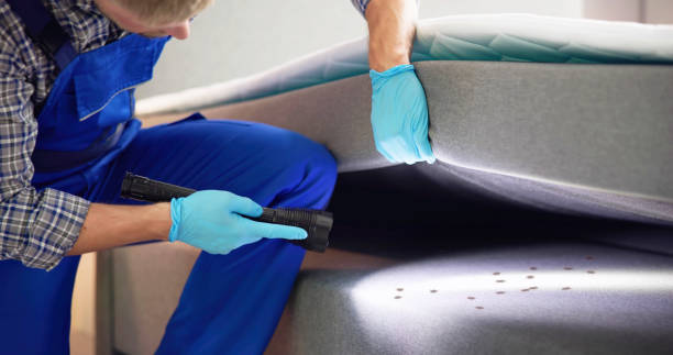 Professional Pest Control in Cape Neddick, ME