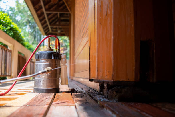 Best Affordable Pest Control Services  in Cape Neddick, ME