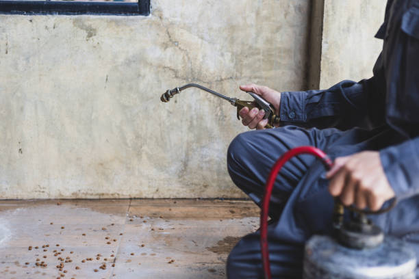 Best Pest Removal Services  in Cape Neddick, ME